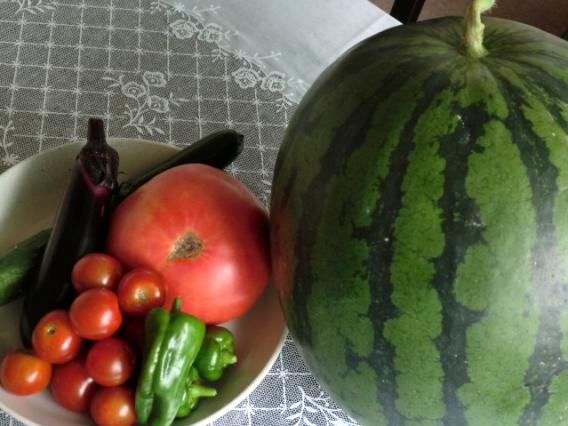 すいかと夏野菜