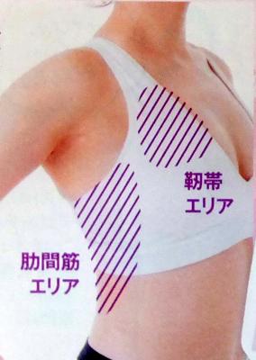 乳トレ