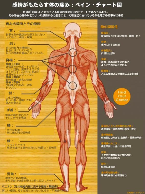 Emotional Back Chart