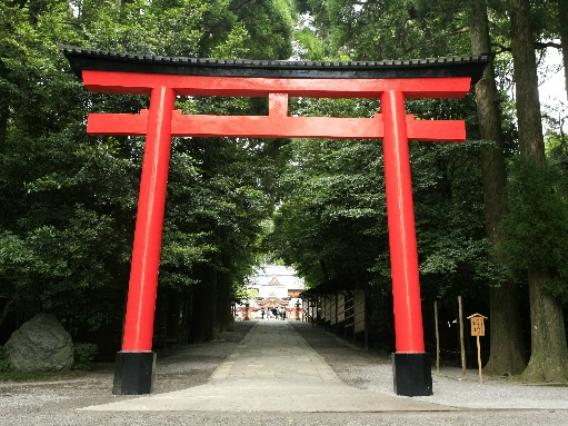 神社 お参り 仕方